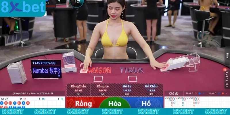 Cách phân định thắng thua và trả thưởng trong Rồng Hổ 8xbet