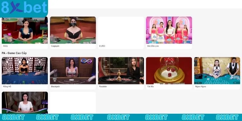 Điều kiện và yêu cầu cơ bản để tham gia tuyển dụng 8xbet